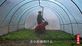 女儿想吃麻辣片，春姐教大家自己做，学好了比肉还香，看着都解馋