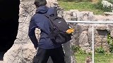 男生对着猴子跳孙悟空舞蹈