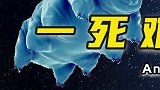 不s生物-下：如果激活人类的永生细胞，我们也能长生不老吗 涨知识  科普  创作灵感