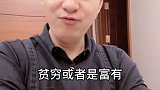 成精啦宠物篇55猫是一种神奇的动物宠物成精啦