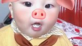 我家的2岁的小猪宝宝，每天像个小猪一样，嘴巴一直吃不停
