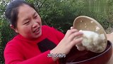 胖妹做酱油炒饭，配上自家酸豆角，香气四溢！