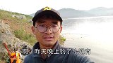 水库通宵夜钓，斩获鲤鱼和3斤多大鳜鱼，真过瘾！