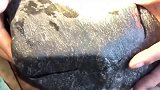 一百万一公斤的翡翠原石，看一下庐山真面目！