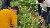 记得小时候下地干活没有一次是情愿的，因为那个时候根本不理解父母的辛苦山东人的田园生活有多惬意山东生活日记