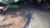 农村小伙用自制的工具抓黄鳝，手法熟练，轻松抓获！