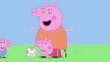 小猪佩奇：佩奇想学乔治，但是它太大了被卡住了！真是太滑稽了