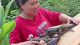 朋友送只3斤重波士顿龙虾，胖妹大开眼界，这吃起来也太过瘾了吧