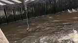 广西小哥：这些鱼都饿疯了吧，看见诱饵就猛扑上来！