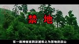 湖南道县有一处深山禁地，万座鬼崽石俑遍布山林，传说是阴兵化成