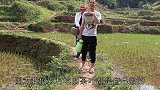 明二哥和小玉上山摘茶叶，用原始土灶大锅翻炒，勤劳的幸福茶香