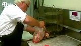 肯德基爷爷亲手制作炸鸡珍贵录像，展示了他的秘方之一