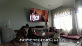 这视频有毒,狗子们看完集体跑偏,镜头记录下搞笑一幕
