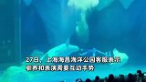 上海一公园演出人员疑击打白鲸，公园回应：暂不能确定是击打行为