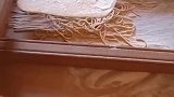 这样做的面条还是第一次见呢