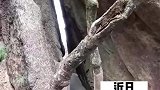 原来桃花源记是写实，小伙一边旅游一边背诵