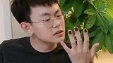 这跟颜色有关么