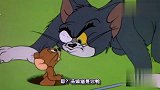 四川方言猫和老鼠：给汤姆猫配上四川话，太逗了，配音有点意思