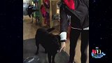 不说了我要先找个女朋友，然后让她去学跳舞！