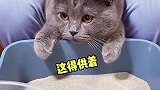 这猫咪怎么三只眼啊
