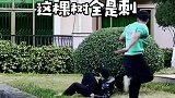 还好我练过铁头功