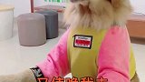 这一杯，让我猝不及防