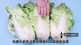 白菜上的“黑点”究竟是什么能吃吗说出来你可能不相信