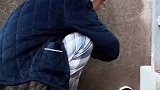 男子救助流浪猫被抓，自费打了针疫苗