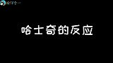 哈士奇听恐怖音乐，边牧听恐怖音乐，智商差距一目了然！