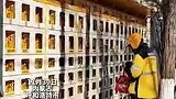 内蒙古大学拆除栅栏改外卖存储柜 “双向取餐”方便整洁又安全 网友：再也不用担心拿错外卖了