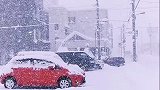 北海道这样的雪下了7天7夜还没停