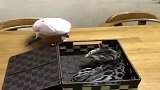 这不是鹦鹉，是沙雕……