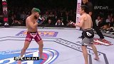 UFC-15年-UFC182：蝇量级堀口恭司vs盖迪诺特集锦-精华