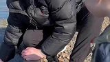 都说了不要惹鸭子，这下好了吧