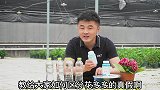 花多多真假难辨？五分钟硬核科普，让你不再上当受骗