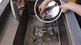 爆头香辣八爪鱼，一口下去香浓多汁，太爽了