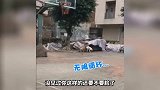 这猫咪躺姿也是绝了 你这是要成精了吗