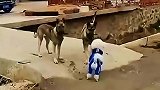 啥条件你说说?要楼!