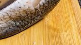 家庭版烤鱼，做法简单，美味无穷