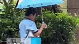 大雨中的暖心一幕！男孩雨中走上前为猫咪打伞