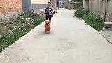 金毛狗狗和奶奶去串门，回来时竟带了一只小奶狗