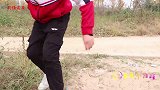 宝藏甜甜和来福挖到好多宝贝，真是满载而归，寻宝真好玩！