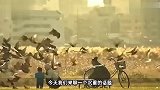 口述养老院里那些让人胆寒的残酷真相 养儿不防老防吃绝户