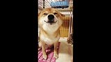 春风再美也比不上你的笑呀，没见过你的人不会明白的！