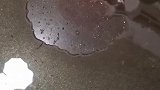 蒜蓉蒸鲍鱼