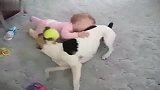小狗与宝宝一起玩耍