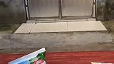 妹妹手气真好啊