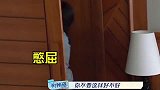 大凶阿雅我的面子都要被你丢光了！不料阿雅的反应，太心疼了