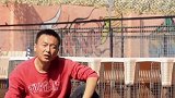 又是狗狗感冒的话题，你的狗中了吗？关注流浪犬 帝中海犬舍