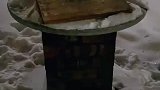 东北包饺子冻在户外，两个小时后踪影全无，只剩下一圈狗脚印